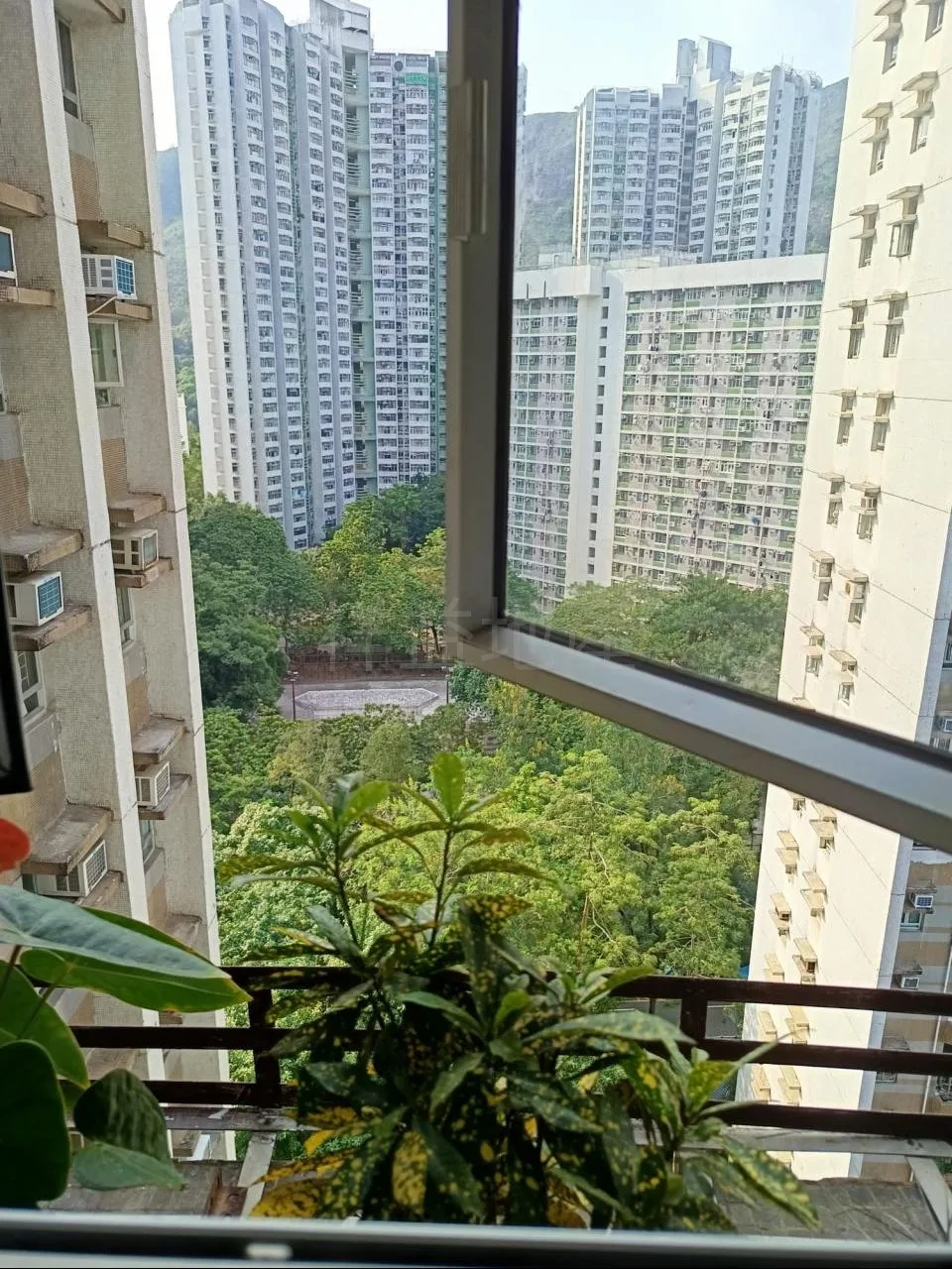新圍苑 景觀